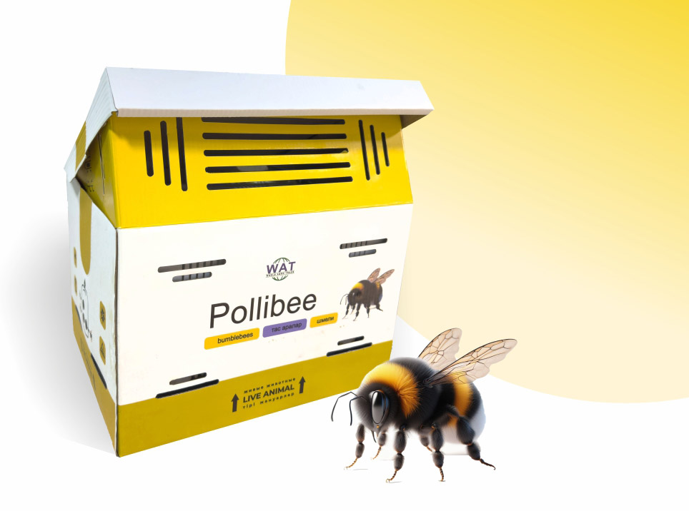 Улей со шмелями Pollibee